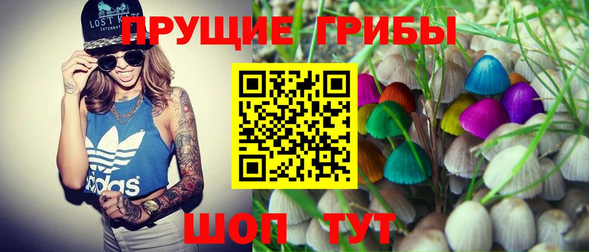 Галлюциногенные грибы GOLDEN TEACHER Серпухов